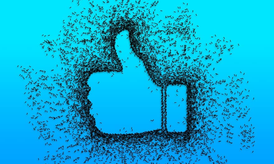 som, bli enige, godkjenne, Kondonerer, facebook, tommel, positiv, godkjenning, hånd, Blå Facebook, Blå Like