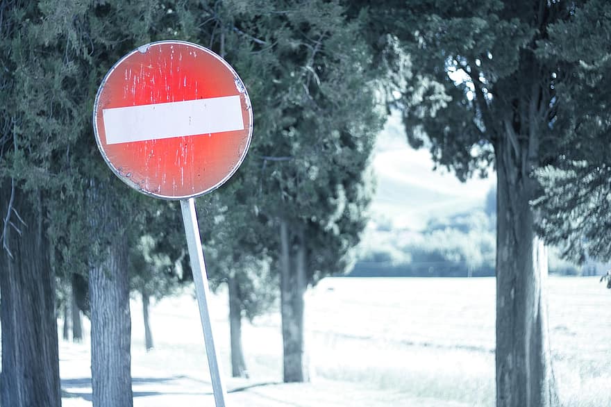 علامة طريق ، ممنوع الدخول ، شتاء ، الأشجار ، ثلج ، المنع ، علامة الشارع