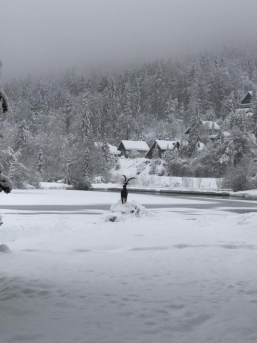 Slowenien, Lake Jasna, Winter, Schnee, Natur, draußen, Eis, Landschaft, Wasser, Baum, Berg