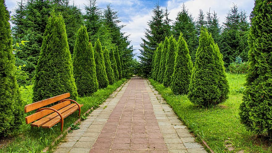 Trees, Bench, Pathway, Park, Saint, Source, Village, tree, grass, summer, green color