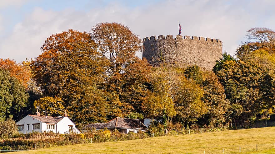Trematon, castelo, floresta, fortaleza, torre, Saltash, Cornualha, Inglaterra, histórico, panorama, Forder