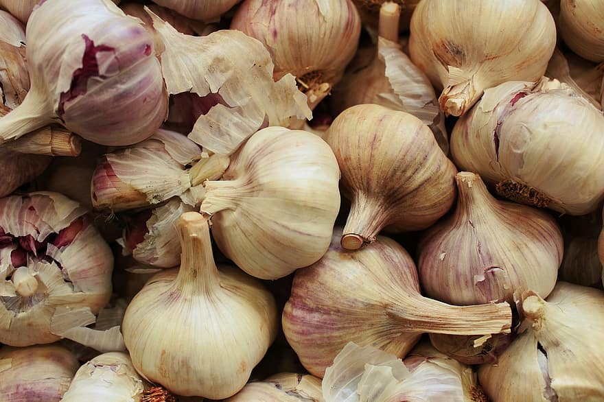 Garlic, Would A Background, Ingredient, Organic, Vegetable, Spice, Fresh, Food, Plant, Healthy, Background