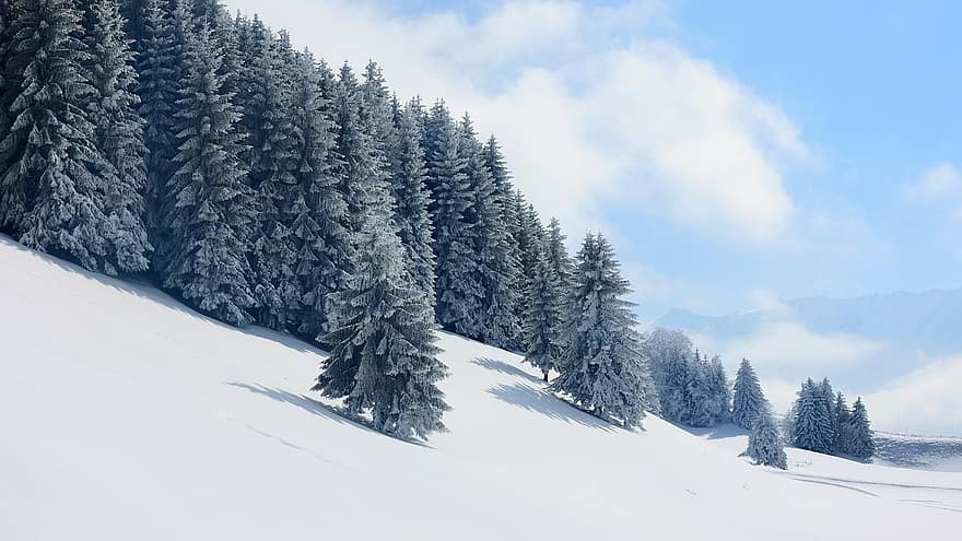 śnieg, drzewa, zimowy, pora roku, na dworze, jodła, krajobraz, Szklarnia Alpe Du Grand, isère, las, Góra