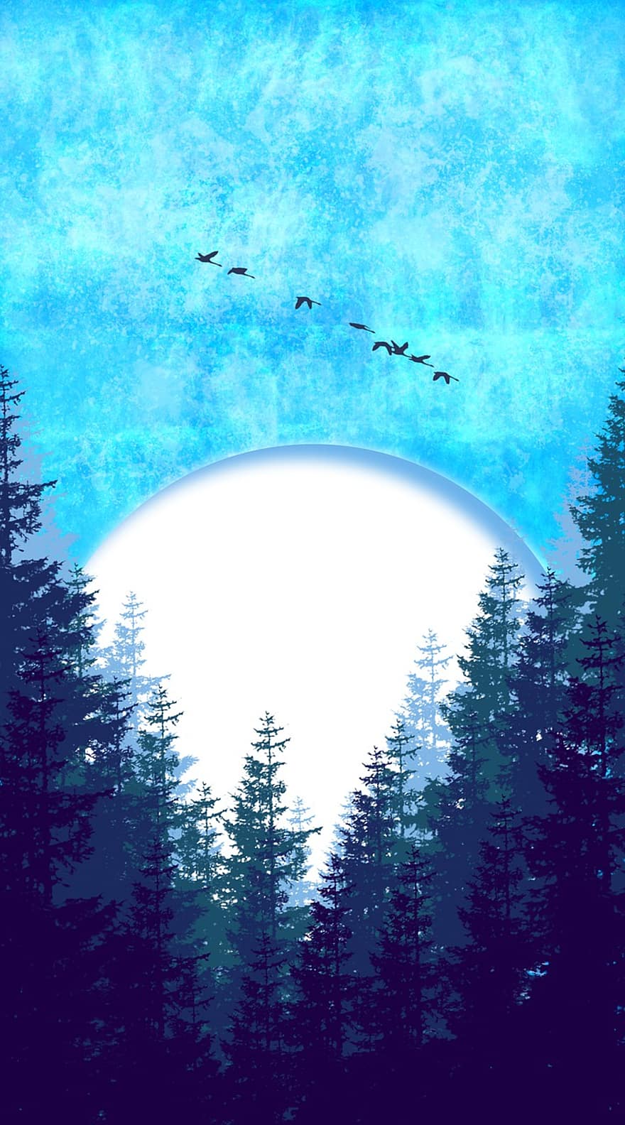 les, měsíc, Příroda, stromy, nebe, měsíční svit, ptáků