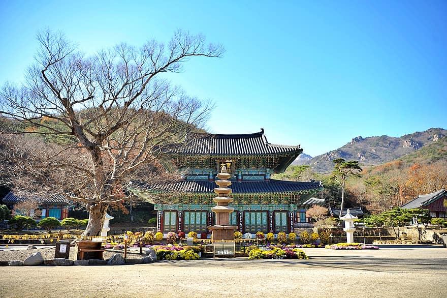 świątynia, drzewo, Góra, las, buddyzm, Korea, stare drzewo, kamienna pagoda, Skarb narodowy, Republika Korei, znane miejsce