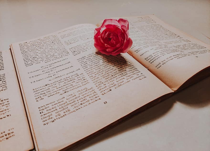 bloem, bloemblaadjes, roos, boek, pagina's, literatuur