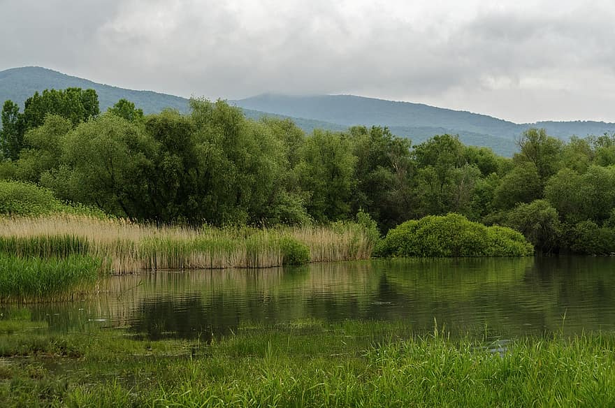 Марказское водохранилище, резервуар, тростник, трава, деревья, озеро, воды, отражение, декорации, природа