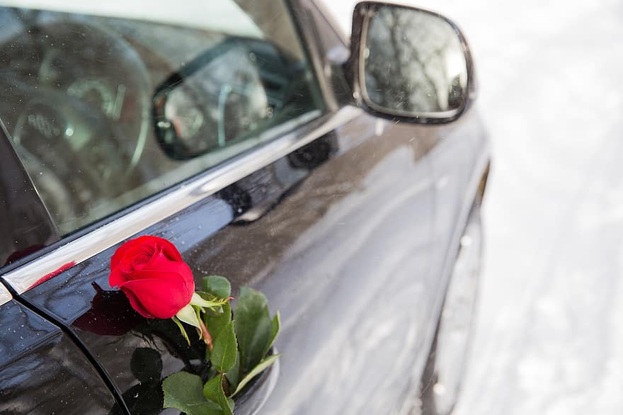 automobilis, gėlė, Valentino diena, jubiliejus, šventė, sausumos transporto priemonė, transportavimas, Iš arti, lašas, atspindys, šlapias
