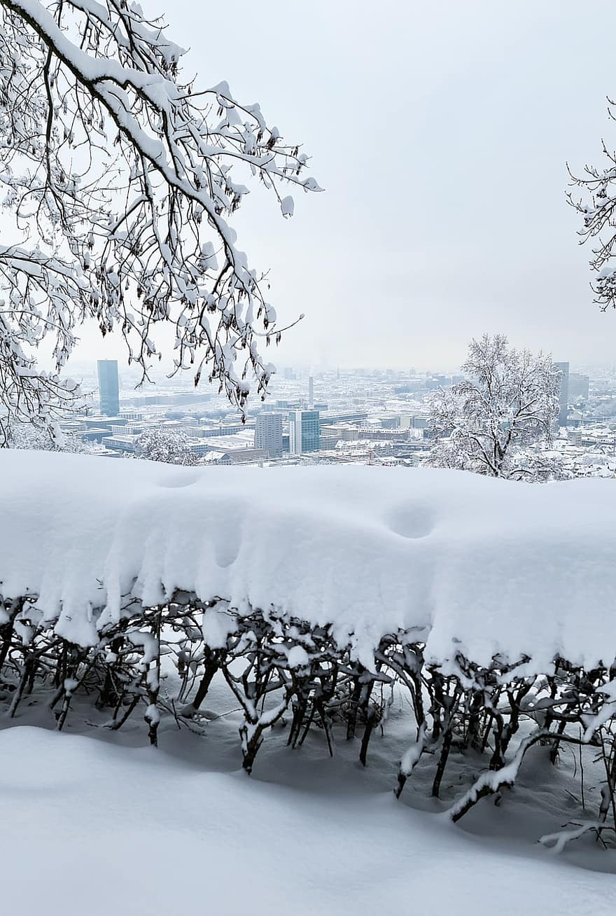 arbuști, acoperit de zăpadă, oraș, Panorama orasului, peisaj urban, orizont, copaci, copaci goi, zăpadă, acoperit cu zăpadă, iarnă