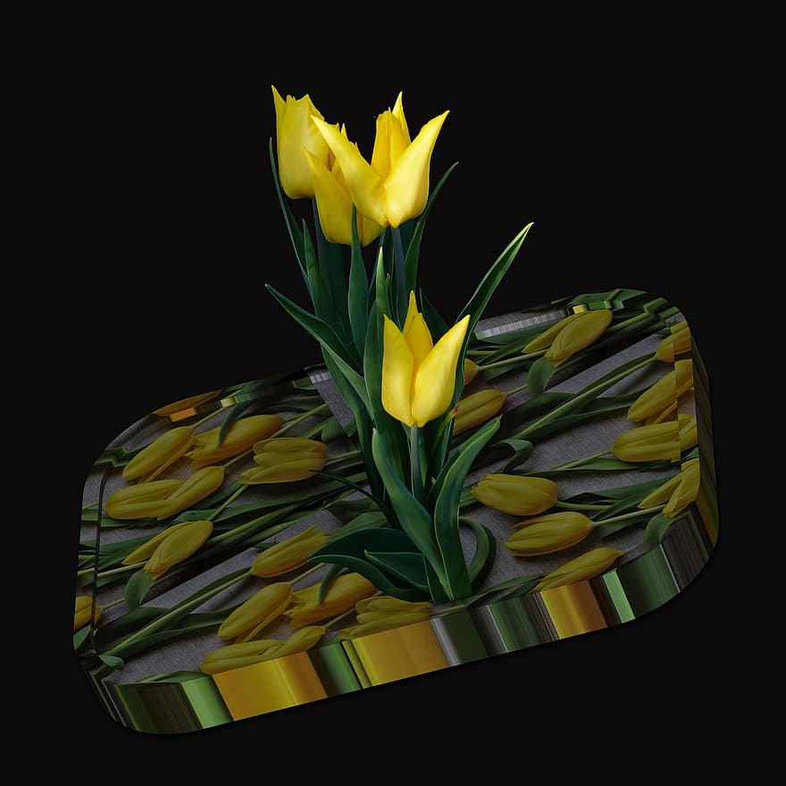 fleur, décoratif, décoration, jaune, tulipes, tulipe jaune