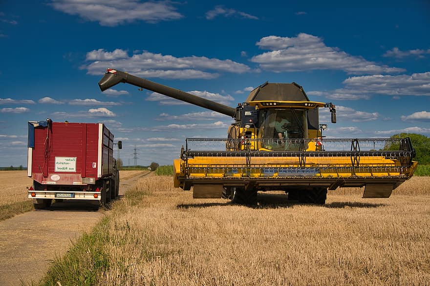 kombajn, zemědělství, sklizeň pšenice, pšenice, pšeničné pole, sklizeň, letní, suchý, sucho, pole, zemědělský stroj
