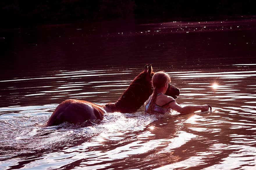 dívka, kůň, poník, hříbě, jezero, plavat