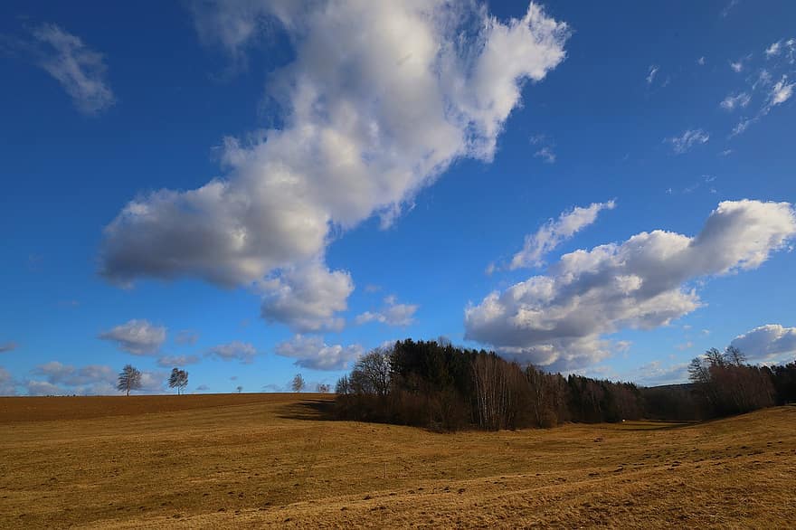Countryside, Field, Forest, Woods, Sunshine, Clouds, Country, Sky, Landscape, rural scene, blue