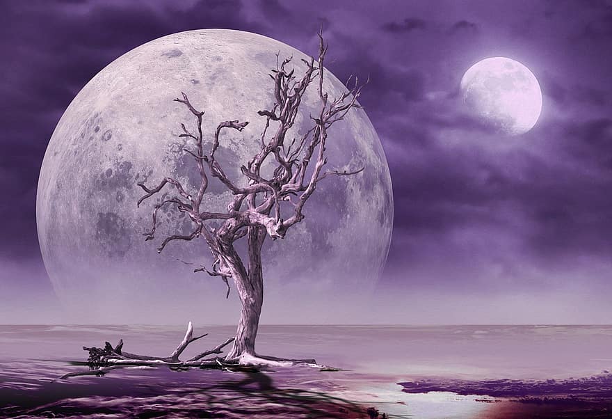 фантазія, краєвид, науково-фантастичний, місяць, планети, чужий, дерево, фіолетовий, туман, атмосфера, казка
