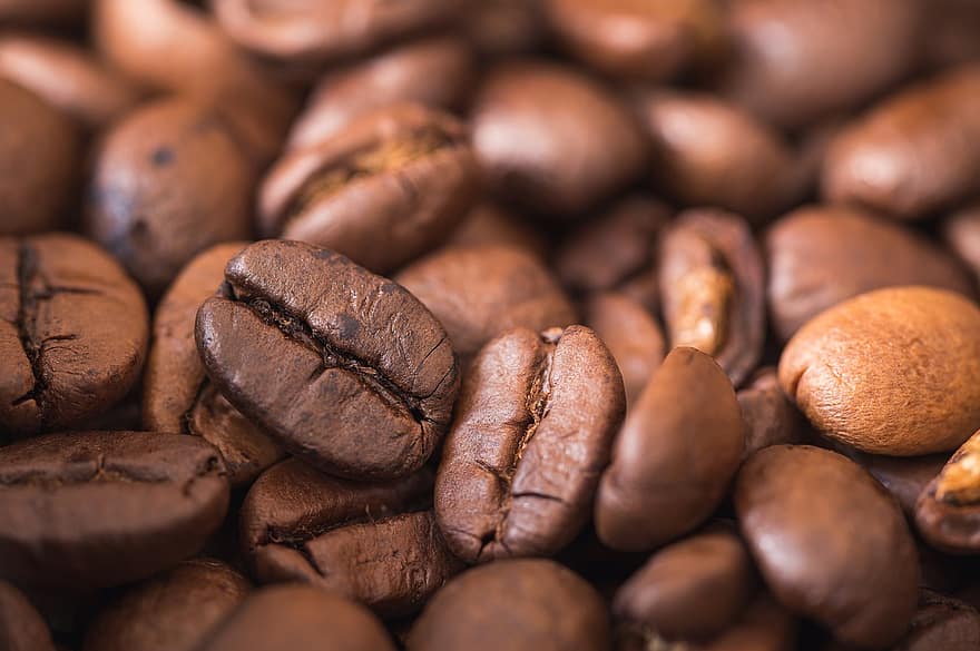 kafija, kafijas pupiņas, kafejnīca, pupiņas, kofeīns, ēdiens, espresso, kafijas krūzīte, smaržas, grauzdēti, aromāts
