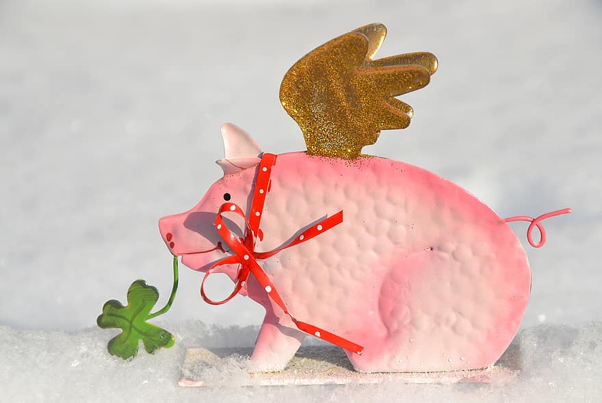 cerdo, felicidad, cerdo afortunado, amuleto de la suerte, trébol de la suerte, nieve, invierno