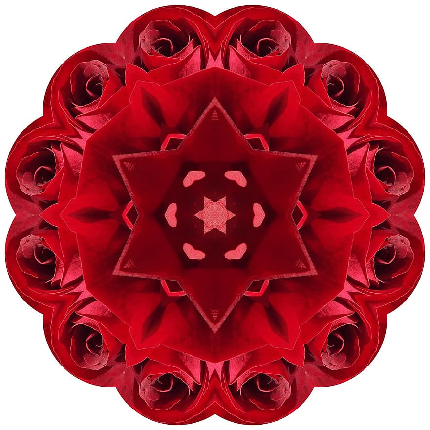 Róża, mandala, czerwony, ornament, dekoracje, wzór, abstrakcyjny
