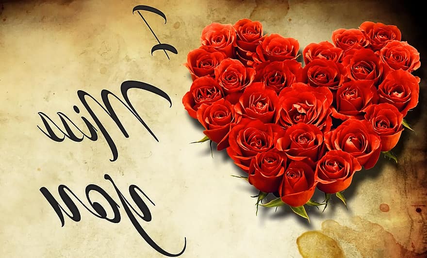 inimă, trandafiri, domnișoară, petale, roșu, floare, romantism, ziua îndragostiților, trandafiri rosii, flori, aranjament floral