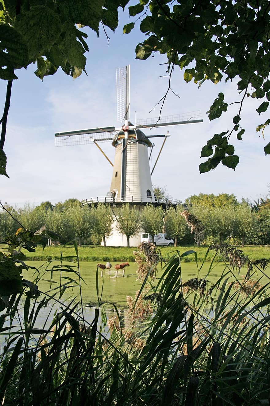 rotterdam, Moulin à vent, la nature, campagne, scène rurale, ferme, herbe, été, Prairie, couleur verte, paysage
