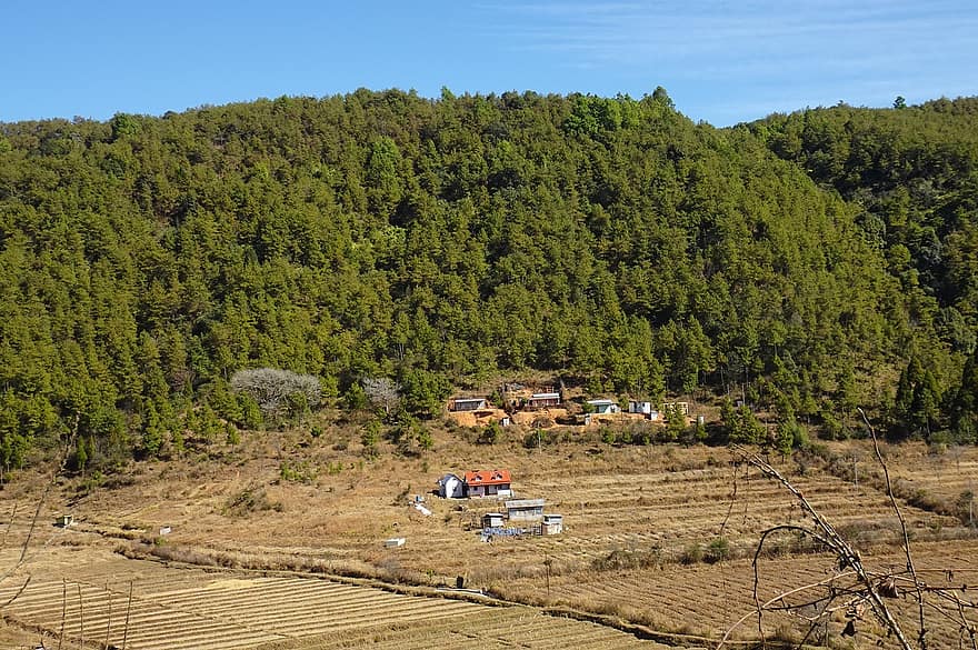 valle, colline, a schiera, agricoltura, altopiano, insediamento, villaggio, Meghalaya
