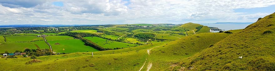 agricultura, céu, nuvens, Dorset, Inglaterra, cena rural, panorama, cor verde, Fazenda, grama, verão