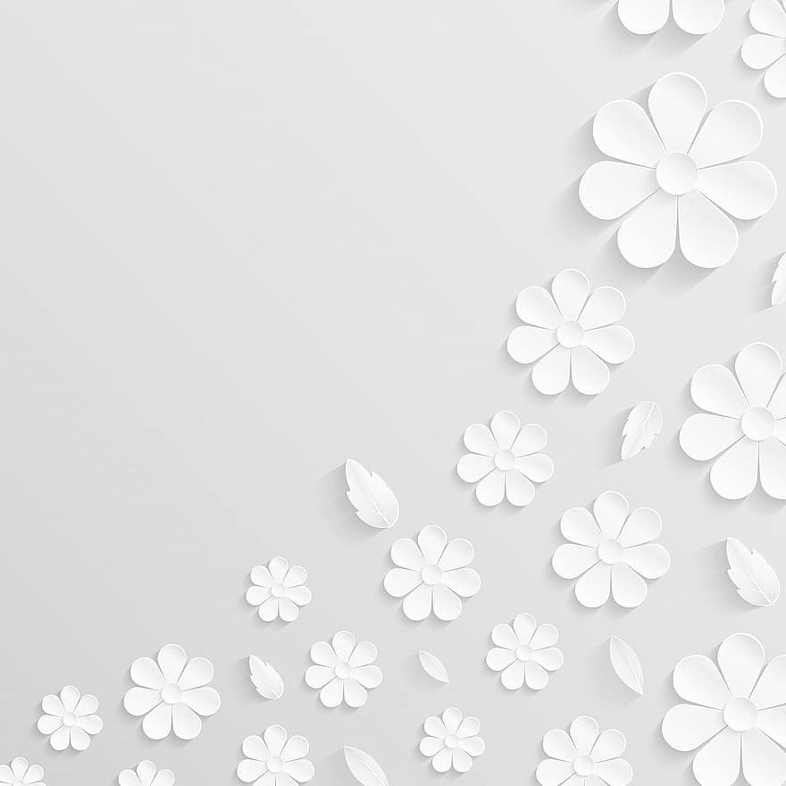 Бумажный цветочный фон, белый, цветы, бумага, текстура, цветочный дизайн, приглашение, Индия, свадьба, орнамент, декоративный