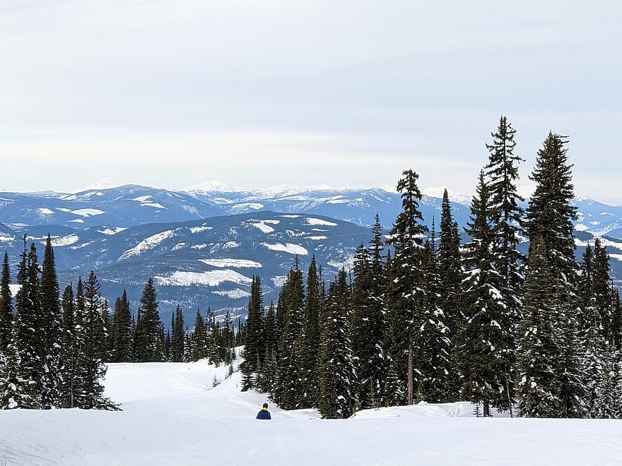 自然、冬、スキー、屋外、木、シーズン、山岳、森林、空、雪、山