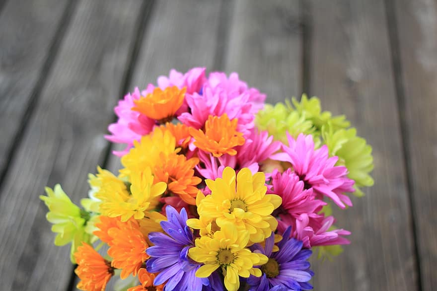flowers, bouquet, nature, close-up, wood, summer, flower, plant, flower head, petal, multi colored