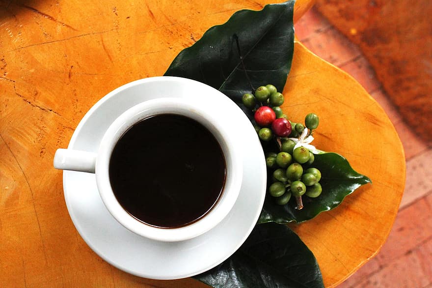 кава, пити, чашка, фрукти, листя, органічні, кофеїн, арабіка, напою