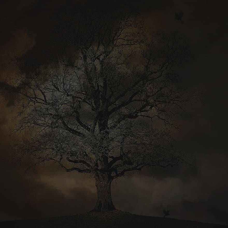 straszny, halloween, zagadka, ciemny, noc, zło, duch, Fantazja, cmentarz, przerażający, drzewo
