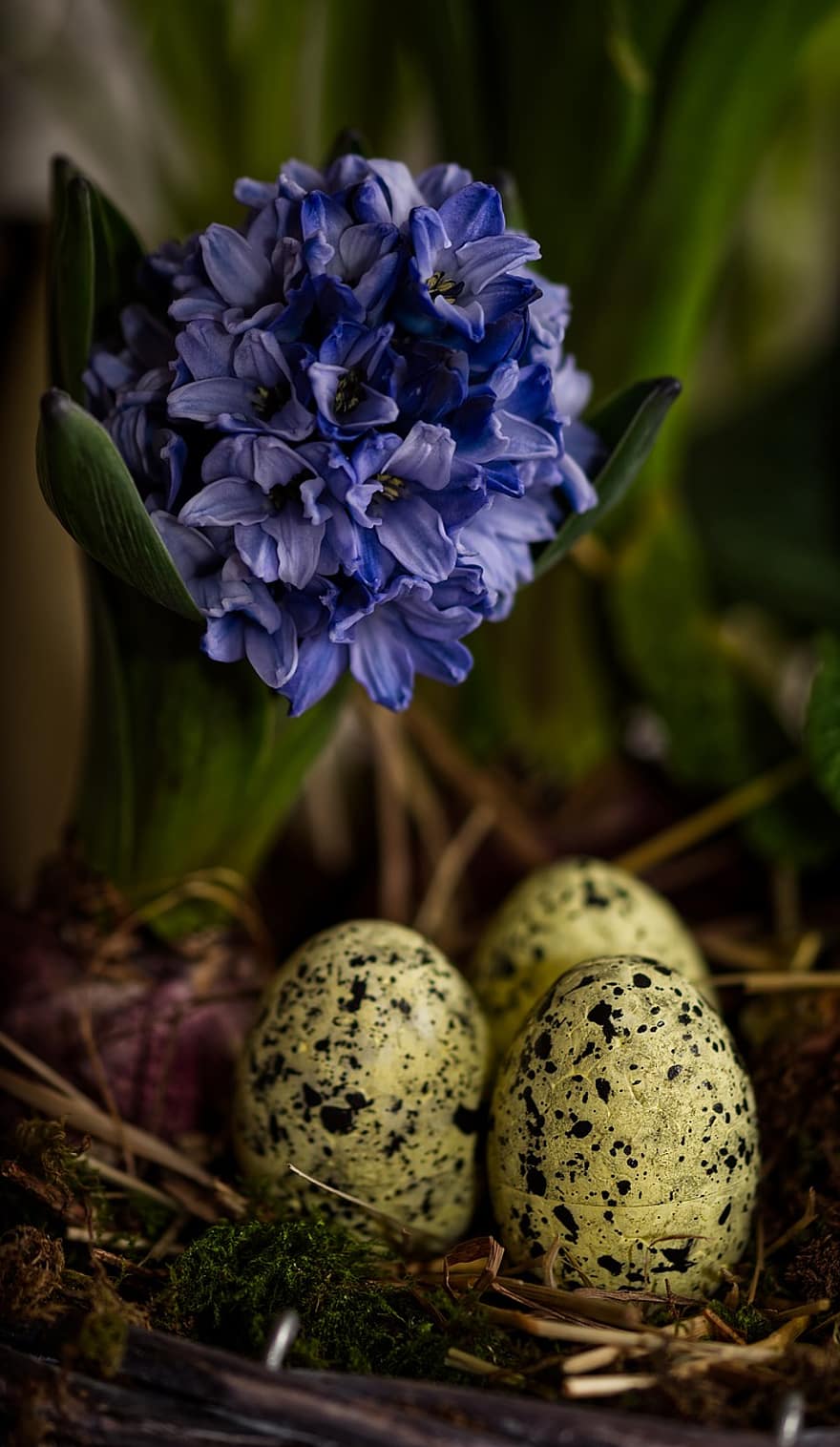 Великдень, яйця, квіти, гніздо, писанки, кольорові яйця, Великодня колекція, весна