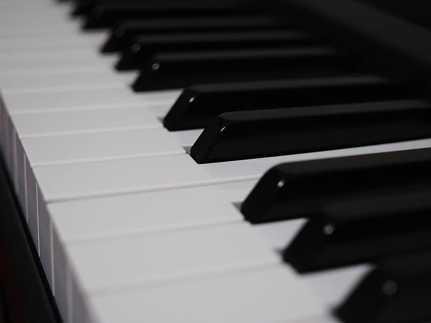 klavír, hudba, hudební nástroj, klávesnice, Černý a bílý, klíč klavíru, detail, makro, klíč, Černá barva, učení se