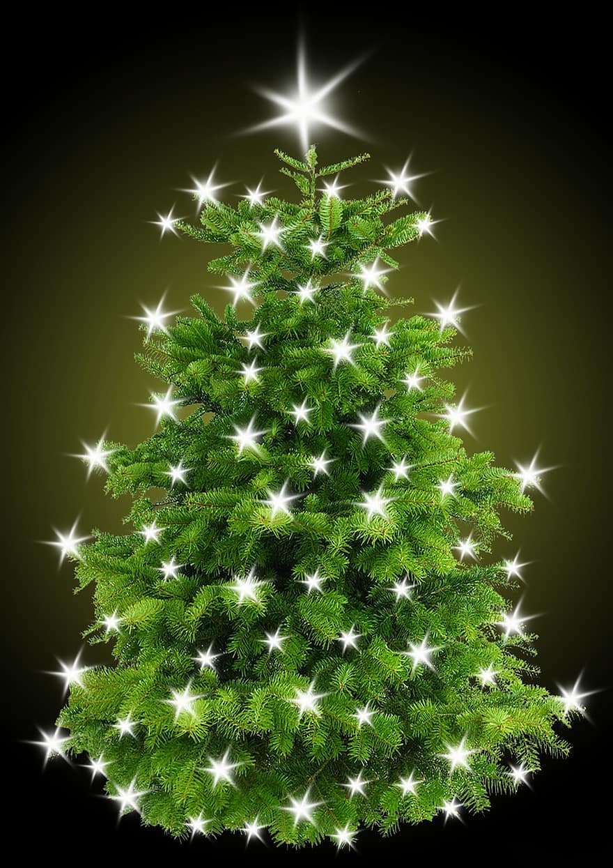 Kerstmis, dennenboom, kerstboom, boom, ster, verlichting, schijnend, lichterkette, kerst motief, kerst decoratie, kerstavond
