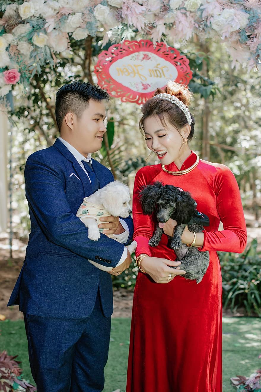 Bröllop Vietnam, hund, bröllop, lång klänning