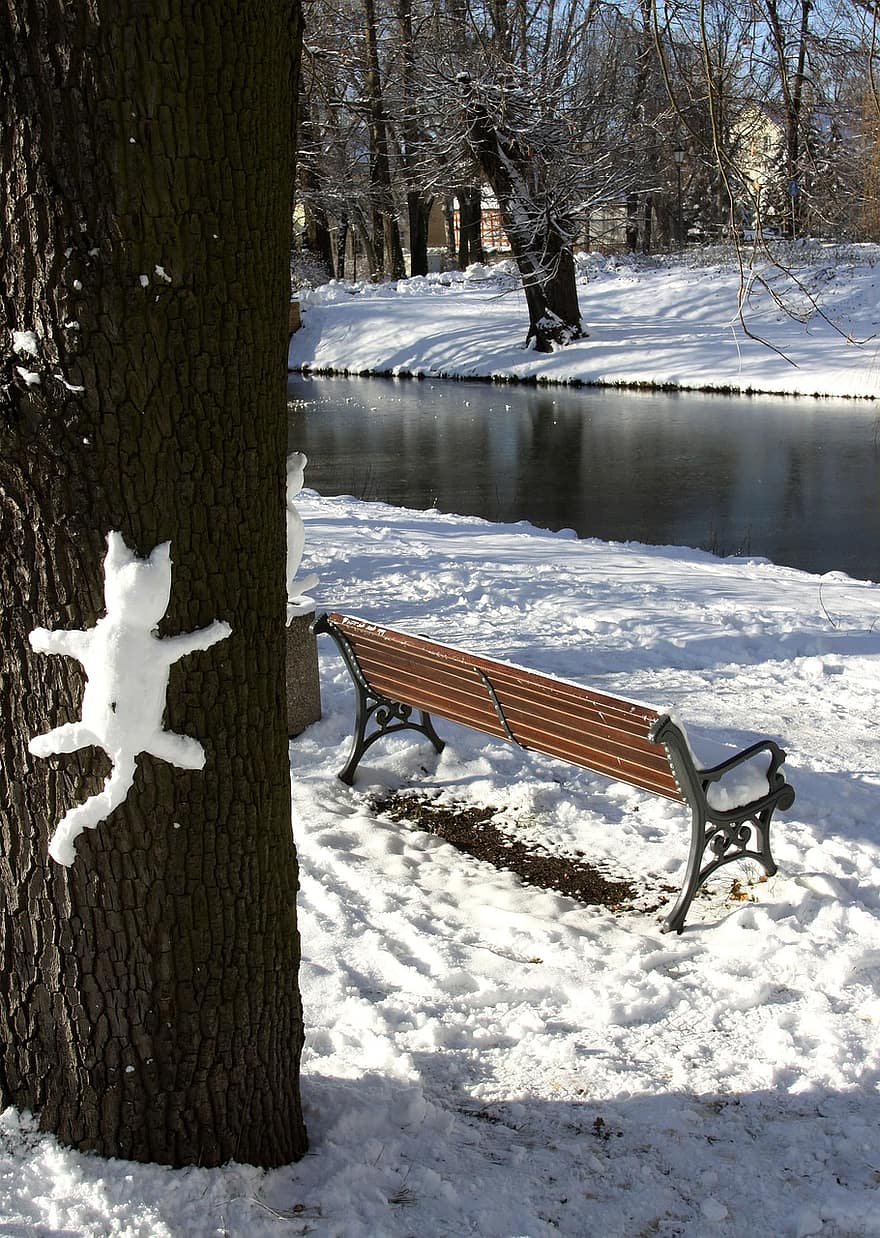 talvi-, lumi, puu, pysäköidä, eläin, kissan-
