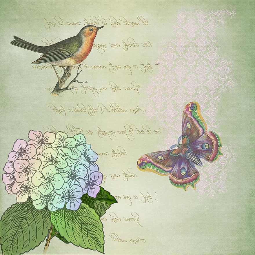 „scrapbooking“, paukštis, popieriaus, drugelis, gėlė, derliaus, Viktorijos, apdriskęs, Žalioji knyga, žalia drugelis, žalieji paukščiai