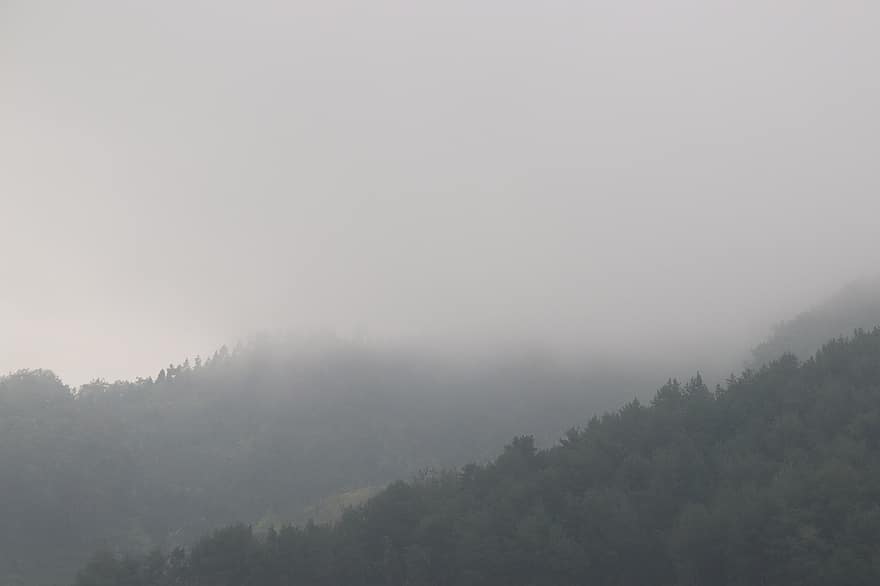 Mountains, Forest, Fog, Clouds, Rain, Trees, Landscape, Slope, Nature, Scenery, Highlands