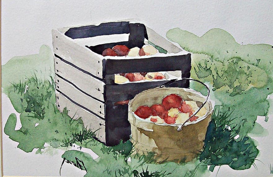 akvarel, maleri, æbler, ferskener, have, træer, kunstnerisk, aquarelle, kunstner