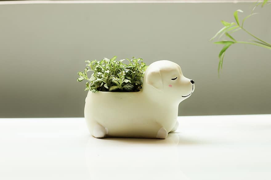 Daun-daun, menanam, pot bunga, Pot Bunga berbentuk anjing, Pot Bunga Keramik, tanaman di dalam pot, dekorasi