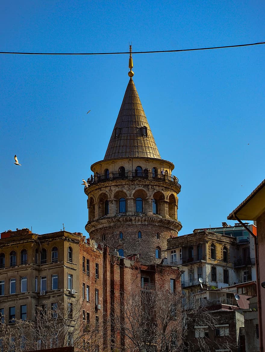 Istanbul, Turkki, Galata, torni, maisema, kaupunki, arkkitehtuuri, kaunis, matkustaa, taivas, lokki