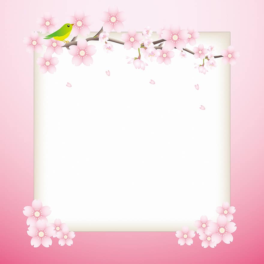 papier cyfrowy, sakura, granica, rama, kopia przestrzeń, Sakura cyfrowy papier, kwiatowy, wzór, scrapbooking, zabytkowe, papier