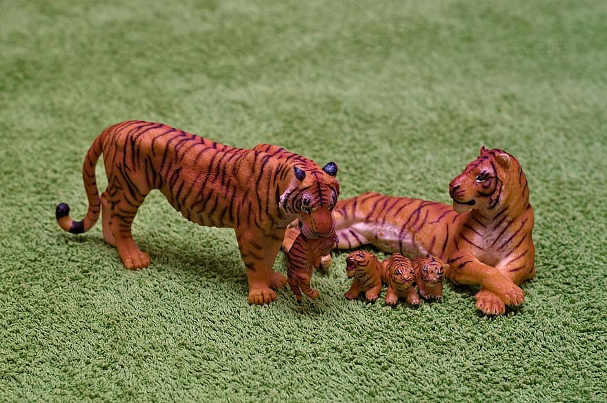 игрушки, тигры, детёныши, семья, животные, млекопитающих, Детские тигры, большие кошки, дикие животные, хищников, живая природа