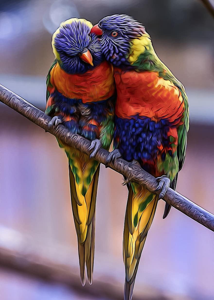 passarinhos, papagaios, lorikeets do arco-íris, casal, plumagem, tropical, exótico, animais selvagens, jardim zoológico, natureza, colorida
