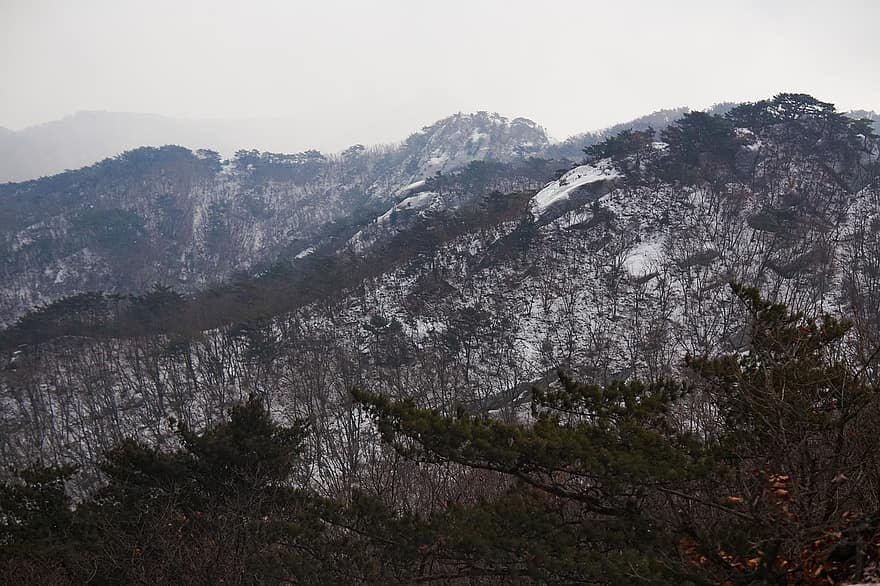 montaña, montaña de nieve, nevada, Dobongsan, Cresta de la batería, paisaje, bosque, árbol, nieve, pico de la montaña, cordillera
