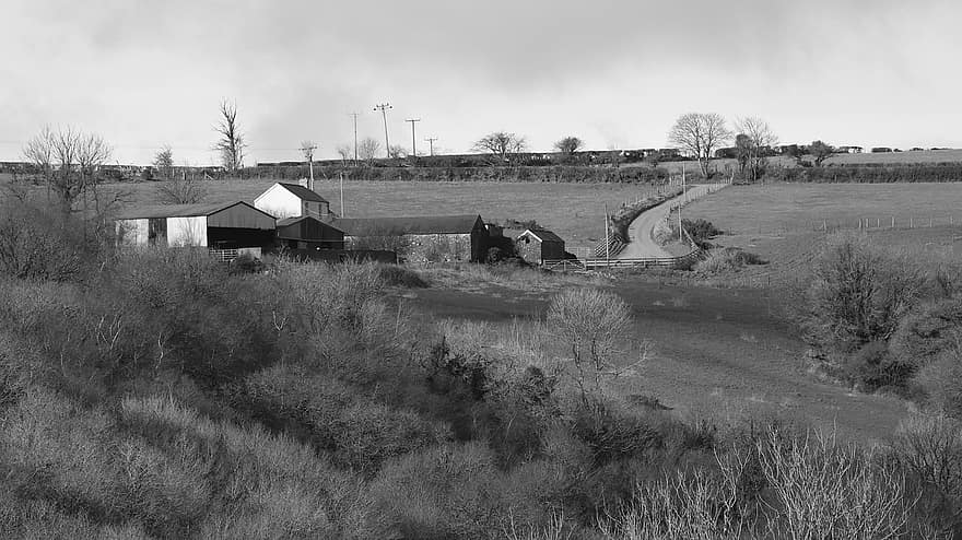Черно и бяло, монохромен, пейзаж, ферма, селски, околност, дървета, път, Carmarthenshire, Уелс, селска сцена