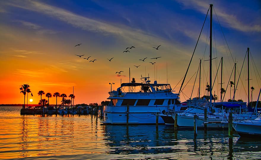 Dunedin, bote, puesta de sol, cielo, centro de deportes acuáticos, agua, Florida, Golfo, viaje