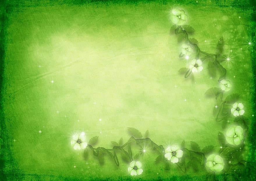 Frame, Ranke, Flowers, Floral, Glowing, Bright, Vintage, Copy Space, Paper, Background Image, Green