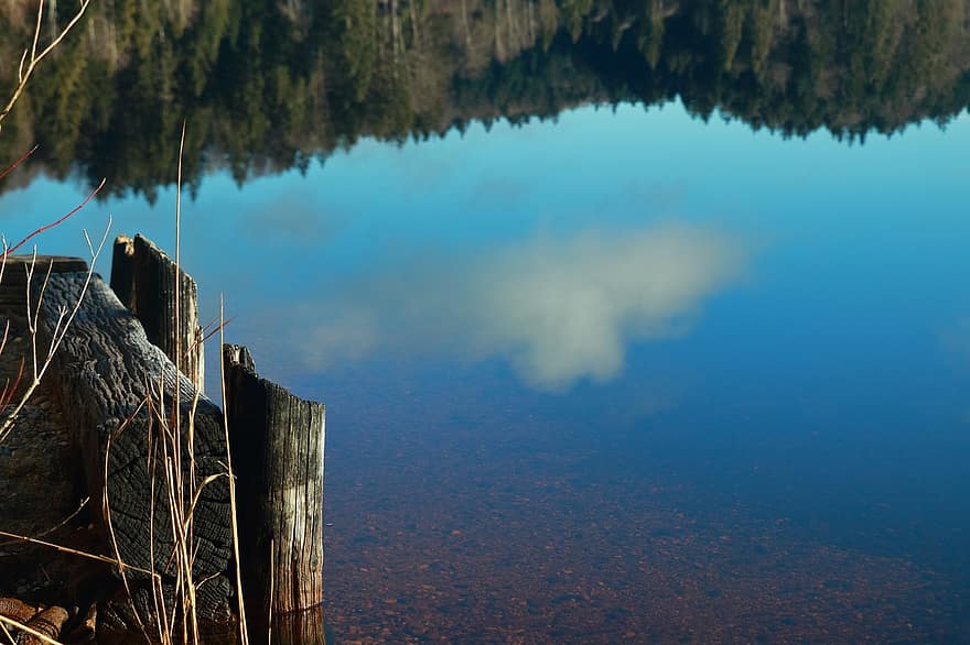 lago, agua, reflexão, costa, Claro, céu, arvores, madeiras, floresta, panorama, azul