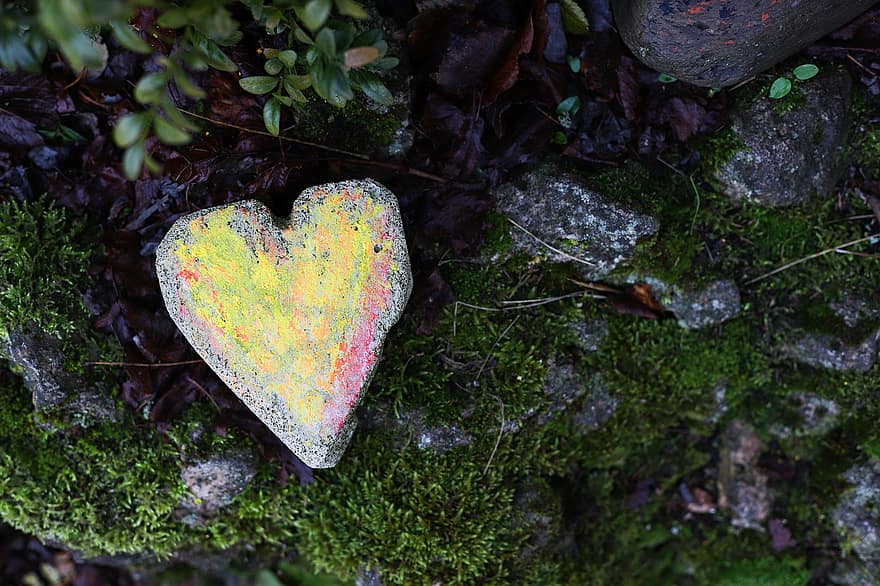 lumut, batu, jantung, penuh warna, simbol, daun, cinta, merapatkan, hutan, bentuk hati, menanam