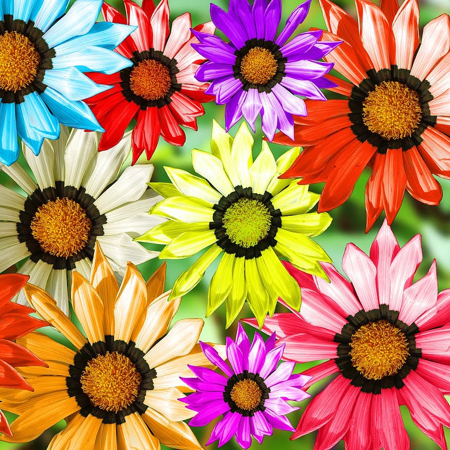 gerbera, växt, blomma, färgrik, närbild, klippa blommor, konstblomma, sommar, vår, prydnadsväxter, dekorativ